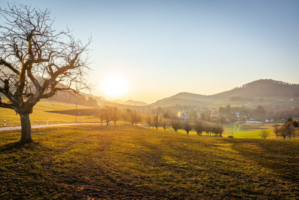 Mediation und Beratung
